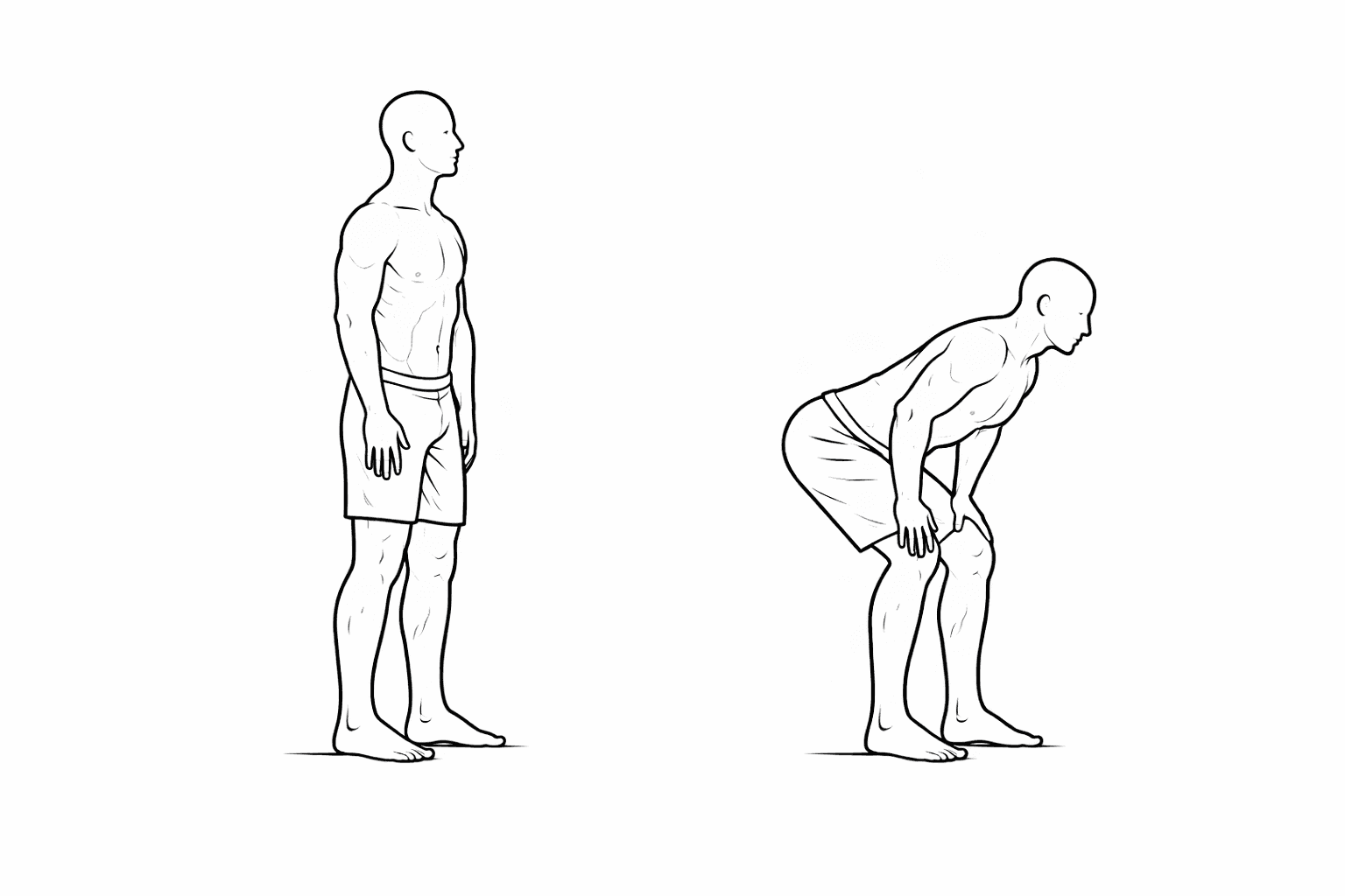 Bodyweight hip hinge (hands on thighs)