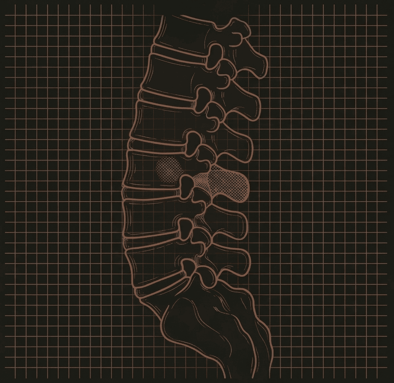 Lumbar spine anatomical diagram