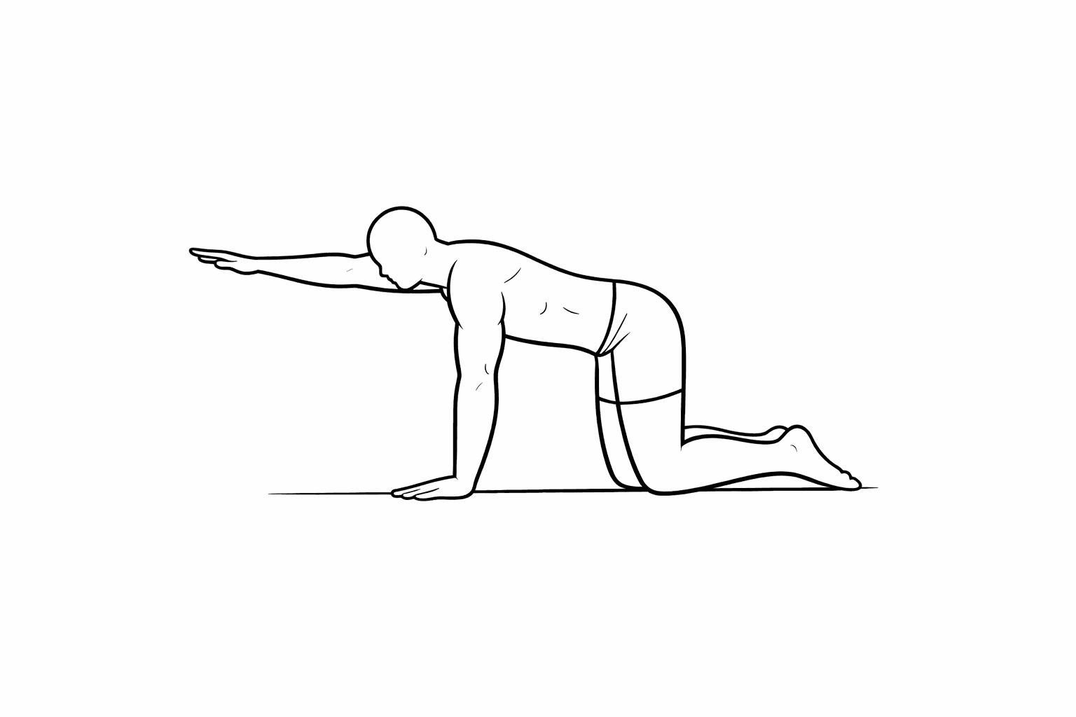 Arm-only bird-dog (upper-back focus)