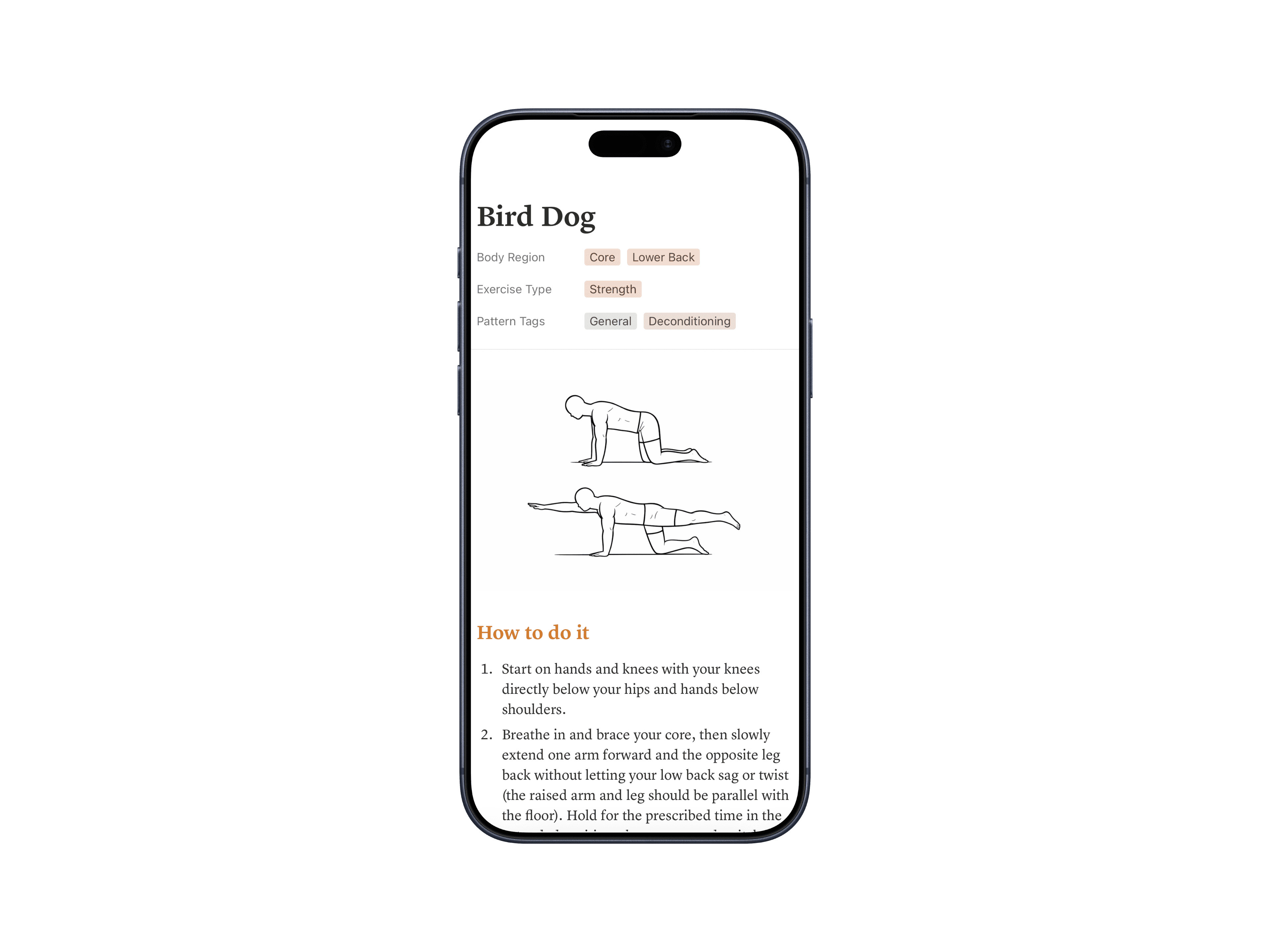 Bird Dog exercise shown on an iPhone