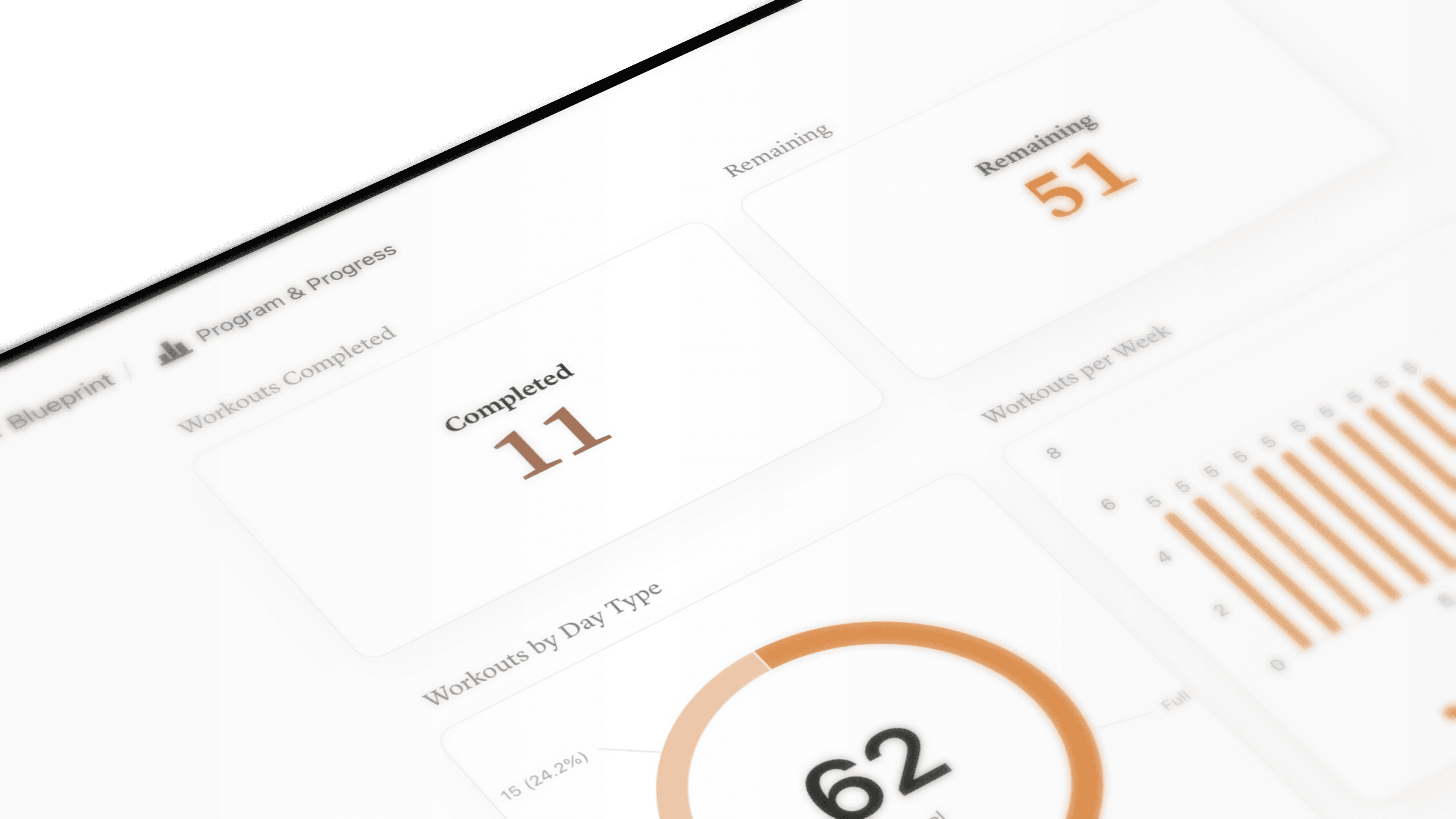 Program and Progress dashboard shown on an iPad